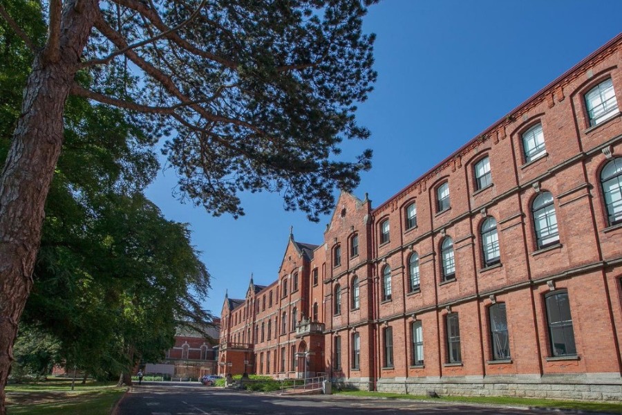 ucdsmurfit